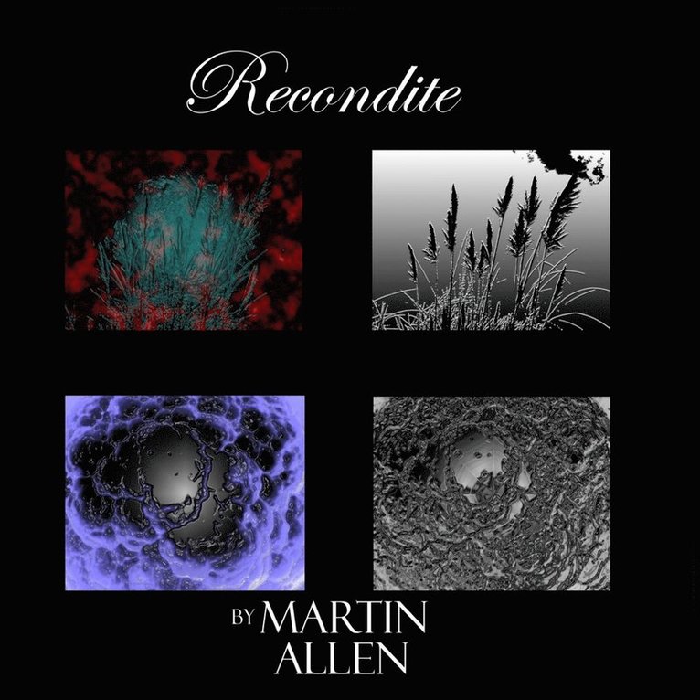 Martin Allen - Recondite, Häftad. Tillgänglighet: Lägg i varukorg