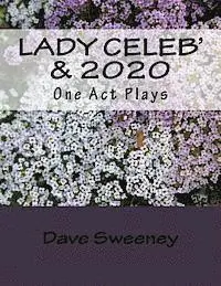 Dave Sweeney - Lady Celeb' & 2020: 2 One Act Plays, Häftad. Tillgänglighet: Lägg i varukorg