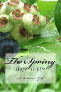 Muhammad Afzal - The Spring, Häftad