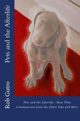 Rob Gutro - Pets and the Afterlife, Häftad. Tillgänglighet: Lägg i varukorg