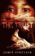 The Trust: A Detective Inspector Ashton Novel