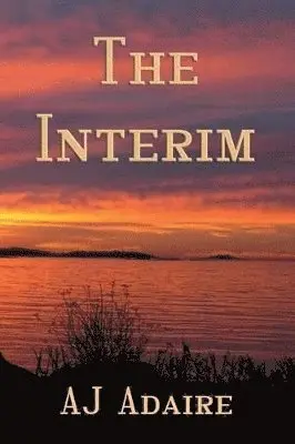 Aj Adaire - Interim, Häftad. Tillgänglighet: Lägg i varukorg