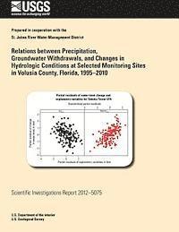 U. S. Department of the Interior, U S Geological Survey - Relations between Precipitation, Groundwater Withdrawals, and Changes in Hydrologic Conditions at Selected Monitoring Sites in Volusia County, Florida, Häftad