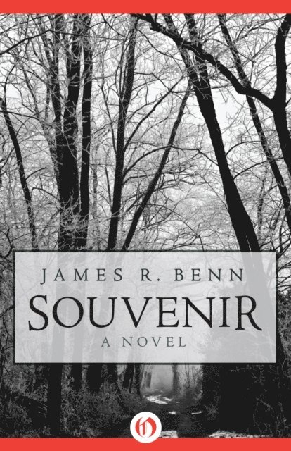 James R. Benn - Souvenir, E-bok