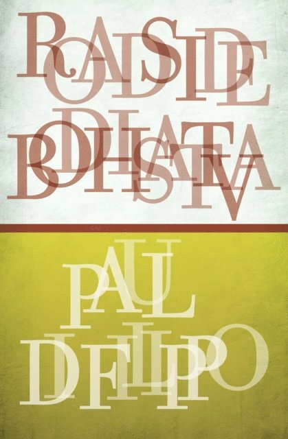 Paul Di Filippo - Roadside Bodhisattva, E-bok
