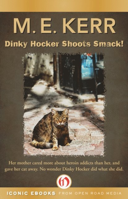M. E. Kerr - Dinky Hocker Shoots Smack!, E-bok