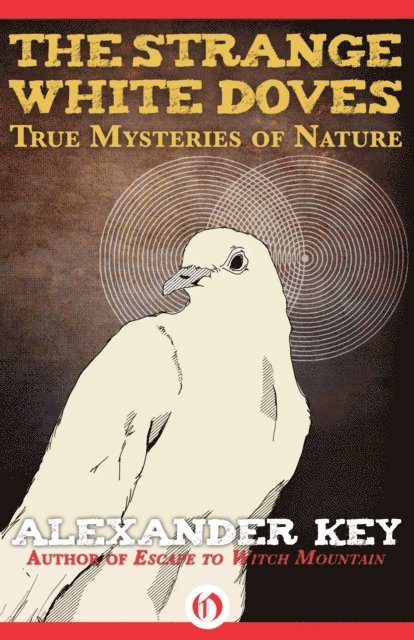 Alexander Key - Strange White Doves, E-bok