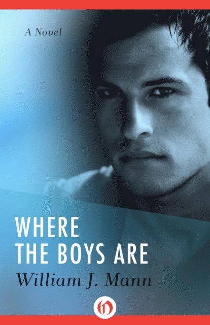 William J. Mann - Where the Boys Are, E-bok