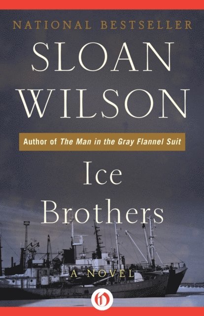 Sloan Wilson - Ice Brothers, E-bok