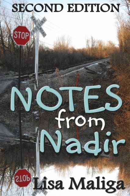 Lisa Maliga - Notes from Nadir, E-bok. Tillgänglighet: Lägg i varukorg