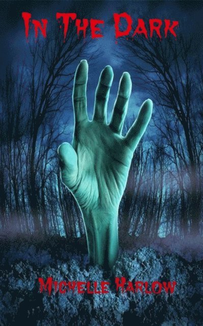 Michelle Harlow - In The Dark, E-bok