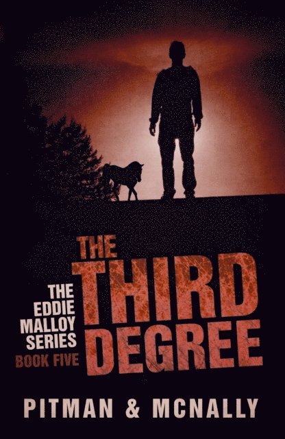 Richard Pitman, joe mcnally - Third Degree, E-bok