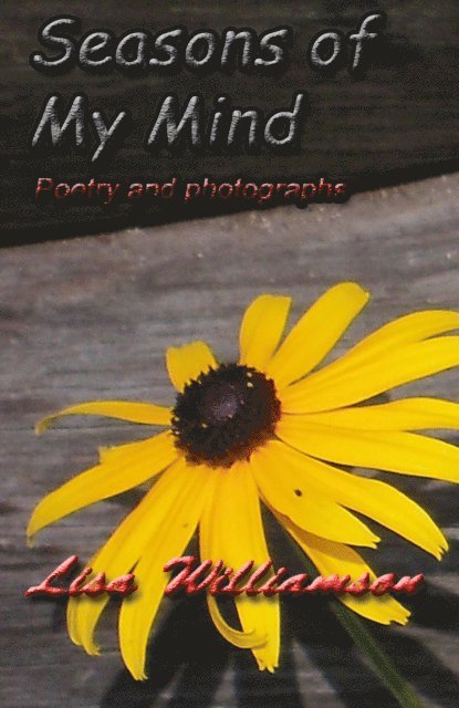 Lisa Williamson - Seasons of my Mind, E-bok