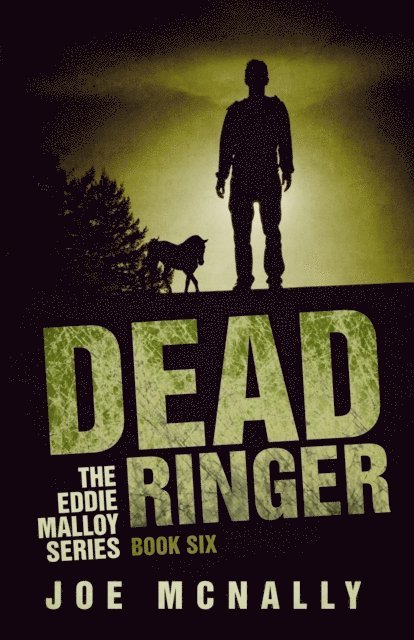 joe mcnally - Dead Ringer, E-bok