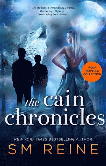 SM Reine - Cain Chronicles, E-bok