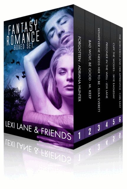 Lexi Lane - Fantasy Romance Collection (Paranormal Fantasy Romance Boxed Set), E-bok