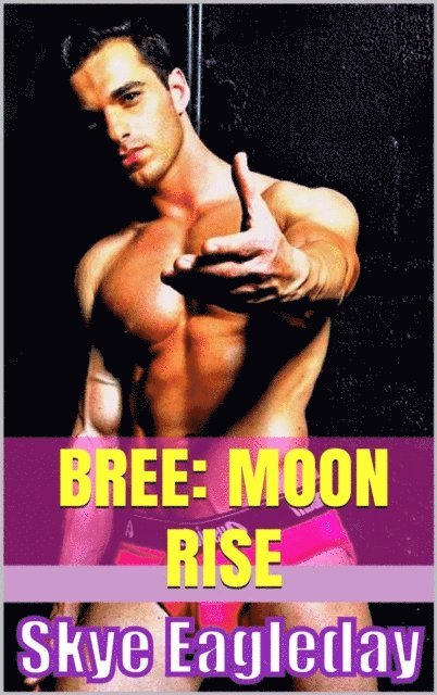 Skye Eagleday - Bree: Moon Rise, E-bok