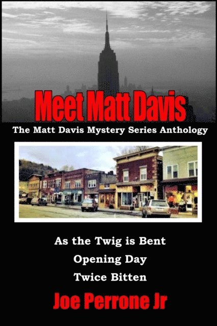 Joe Perrone Jr. - Meet Matt Davis: The Matt Davis Mystery Series Anthology, E-bok