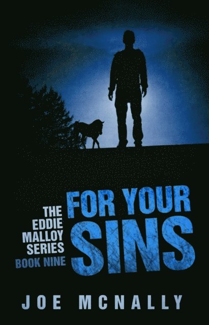 joe mcnally - For Your Sins, E-bok
