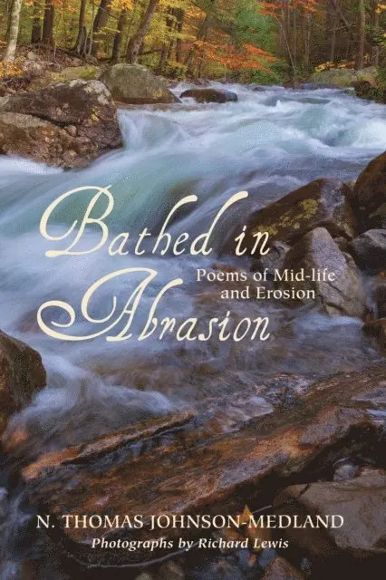 N. Thomas Johnson-Medland - Bathed in Abrasion, E-bok. Tillgänglighet: Lägg i varukorg