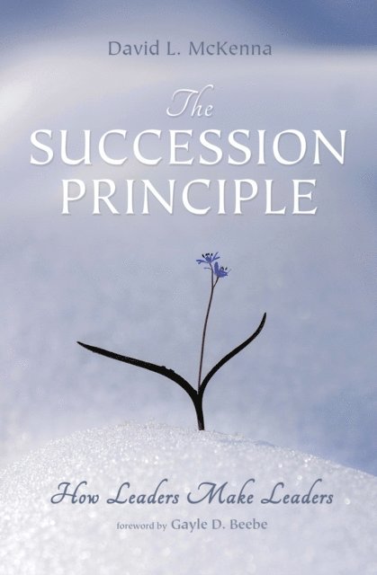 David L. McKenna - Succession Principle, E-bok