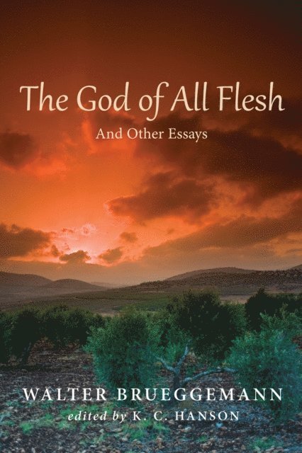Walter Brueggemann, K. C. Hanson - God of All Flesh, E-bok