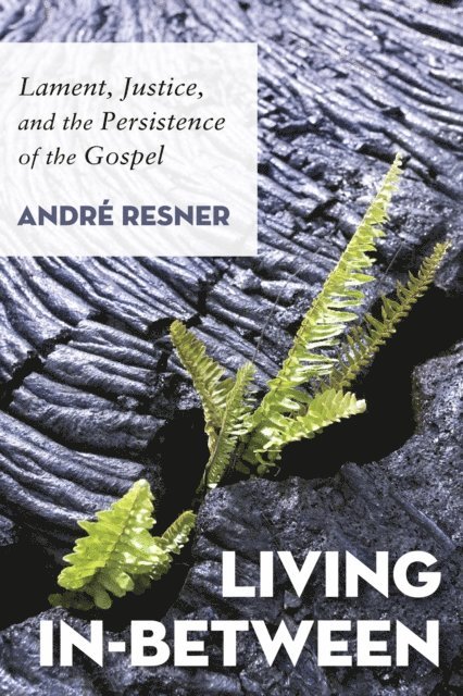 Andre Resner - Living In-Between, E-bok