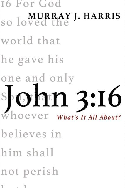 Murray J. Harris - John 3:16, E-bok