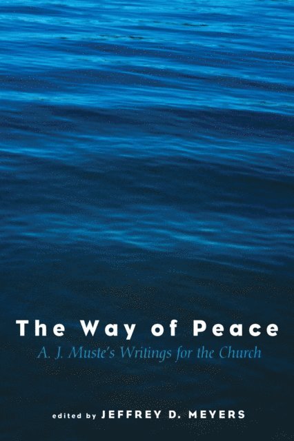 Jeffrey David Meyers - Way of Peace, E-bok