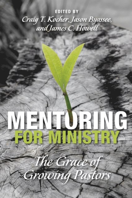James C. Howell, Jason Byassee, Craig Thomas Kocher - Mentoring for Ministry, E-bok