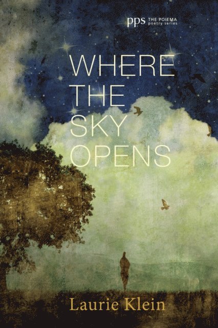 Laurie Klein - Where the Sky Opens, E-bok
