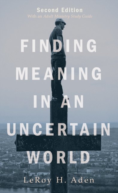 LeRoy H. Aden - Finding Meaning in an Uncertain World, Second Edition, E-bok