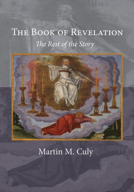 Martin M. Culy - Book of Revelation, E-bok