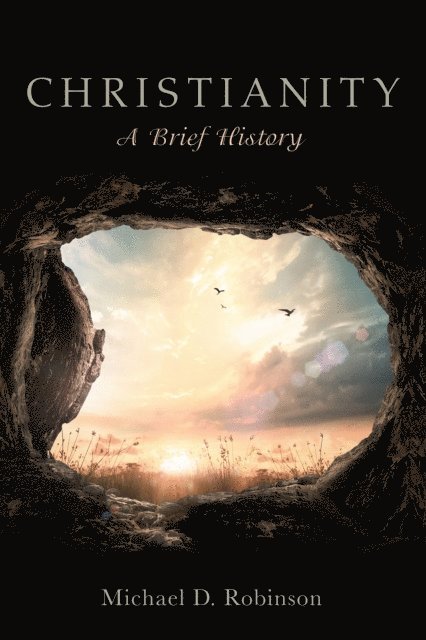 Michael D. Robinson - Christianity: A Brief History, E-bok