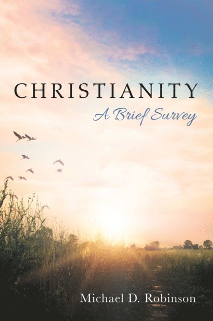 Michael D. Robinson - Christianity: A Brief Survey, E-bok