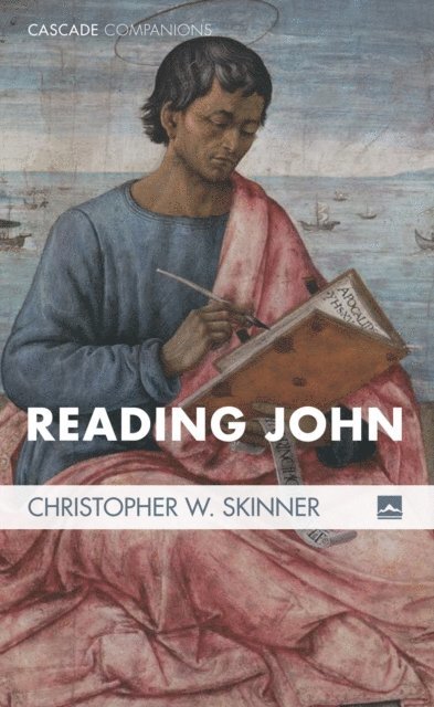 Christopher W. Skinner - Reading John, E-bok