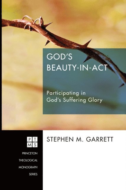 Stephen M. Garrett - God's Beauty-in-Act, E-bok