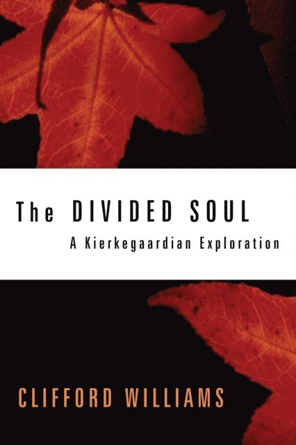 Clifford Williams - Divided Soul, E-bok