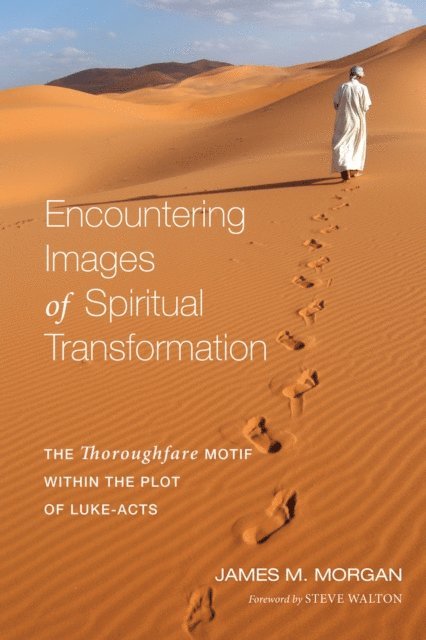 James M. Morgan - Encountering Images of Spiritual Transformation, E-bok