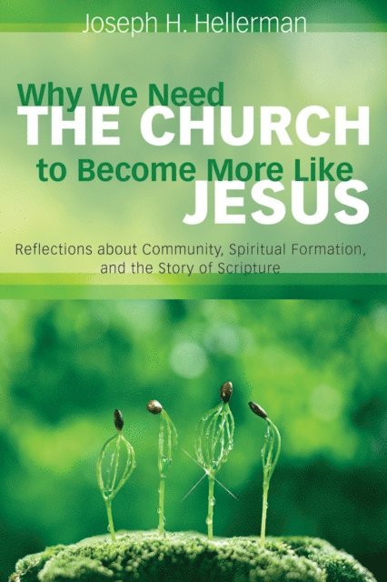 Joseph H. Hellerman - Why We Need the Church to Become More Like Jesus, E-bok