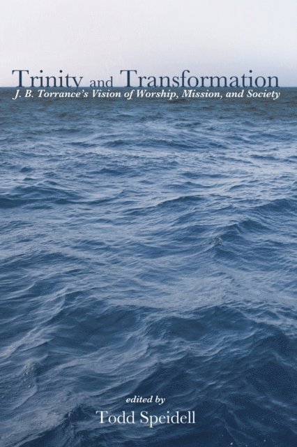 Todd Speidell - Trinity and Transformation, E-bok