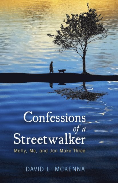 David L. McKenna - Confessions of a Streetwalker, E-bok
