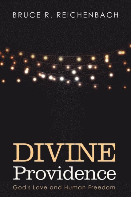 Bruce R. Reichenbach - Divine Providence, E-bok
