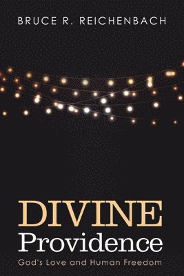 Bruce R Reichenbach - Divine Providence, Inbunden