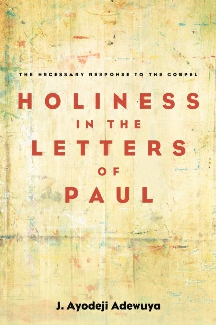J. Ayodeji Adewuya - Holiness in the Letters of Paul, E-bok