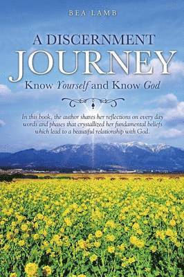 Bea Lamb - Discernment Journey, Häftad