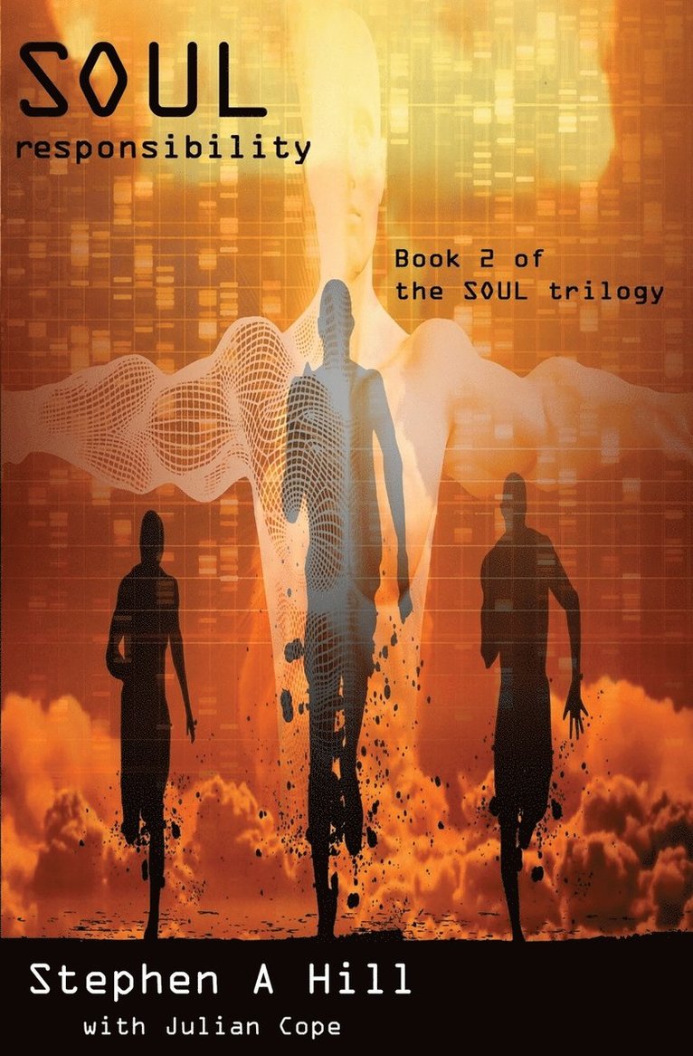 Stephen A Hill - SOUL responsibility, Häftad