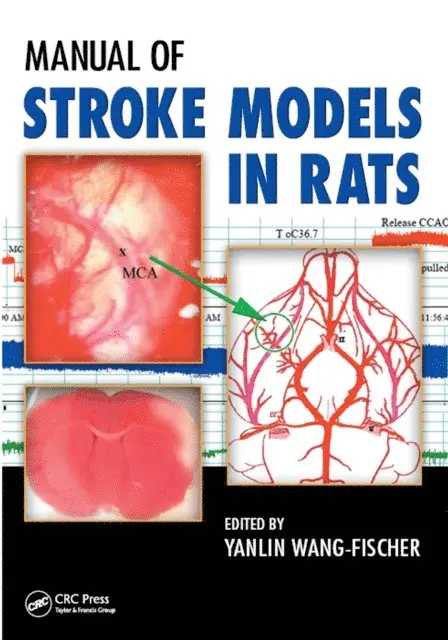 Yanlin Wang-Fischer - Manual of Stroke Models in Rats, E-bok. Tillgänglighet: Lägg i varukorg