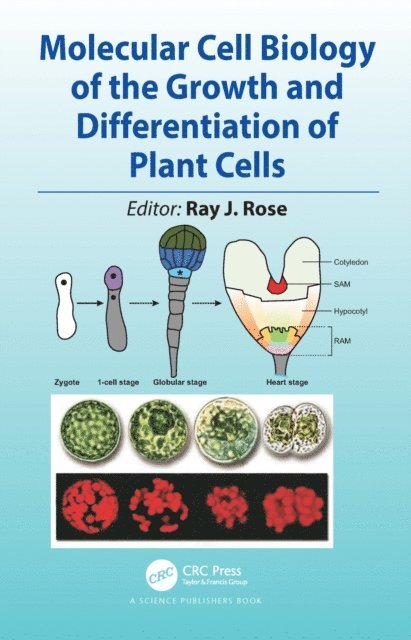 Ray J. Rose - Molecular Cell Biology of the Growth and Differentiation of Plant Cells, E-bok