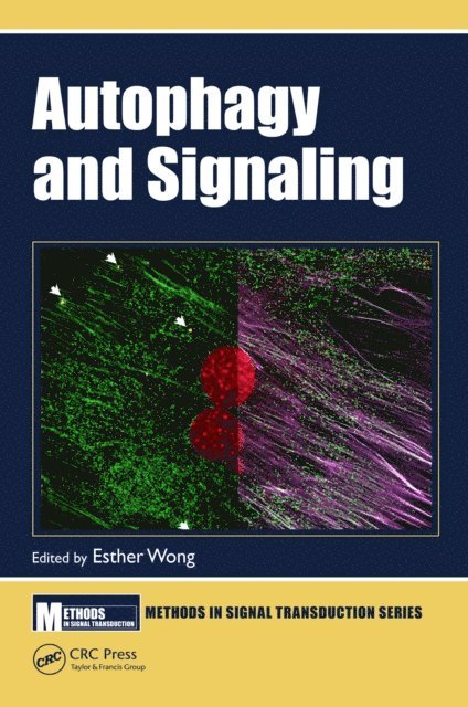 Esther Wong - Autophagy and Signaling, E-bok